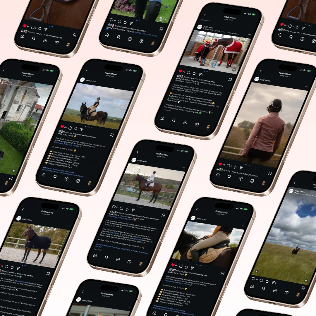 Création de contenus & CM